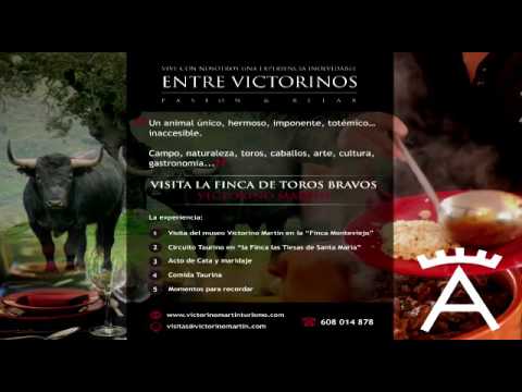 Gran pelea de Toros.