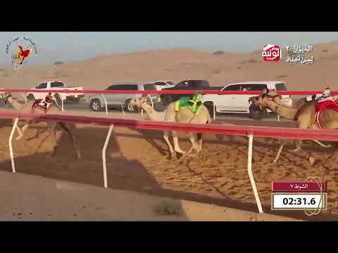  ش 7 (راهيه) لـ جمعه محمد خليفه مطر الغفلي 4:41 , شارة الديوان 2 2026/09/25 حقايق اللبسه  