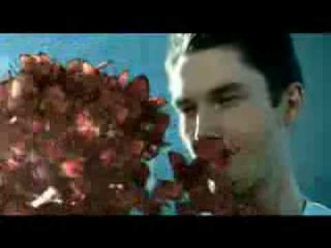 Dorna - Load Yourself with nature