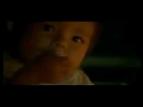 Os Rios e a Vida   Rio Amazonas