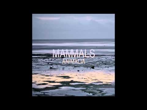 Mammals - Depraved (Animalia)