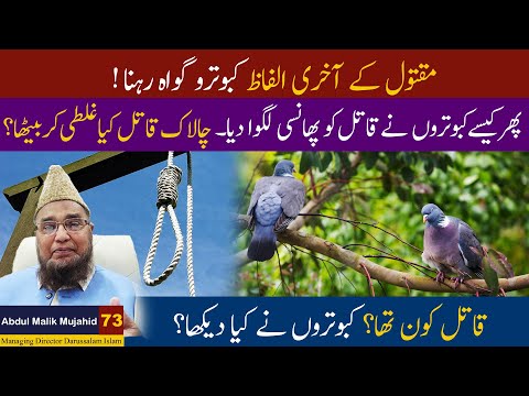 Maqtool Ke Akhari Alfaz Kabotar Gawah Rehna | Abdul Malik Mujahid