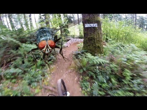 New Bike! 2015 Knolly Podium | Swallowed a Bug, LOL!