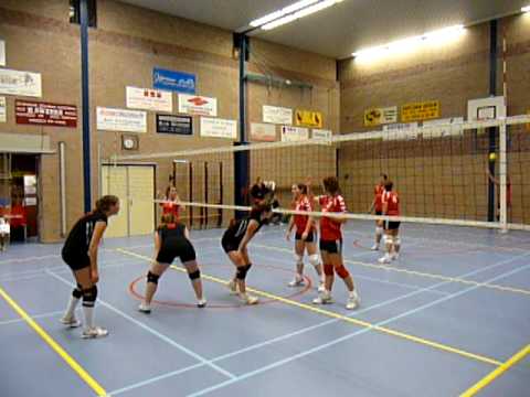 VOLLEYBAL DES D2  VS.  SV HARFSEN !