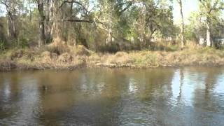 preview picture of video 'On the Ogeechee River'