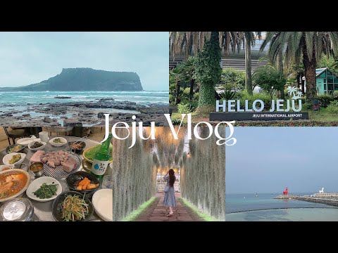 《Estudar no exterior na Coreia》𝑉𝑙𝑜𝑔#𝟺 Viajar para a Ilha de Jeju🌴 2 noites e 3 dias | Aproveite Jeju na chuva | Patrimônio Mundial