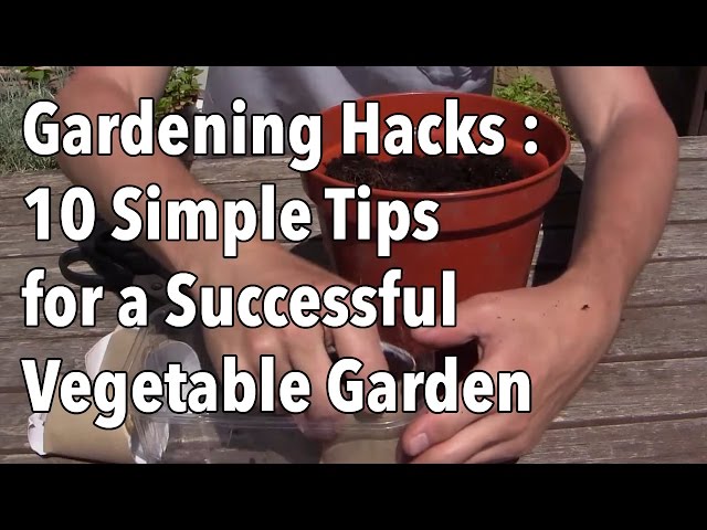 10 Simple Tips for a Successful Vegetable Garden