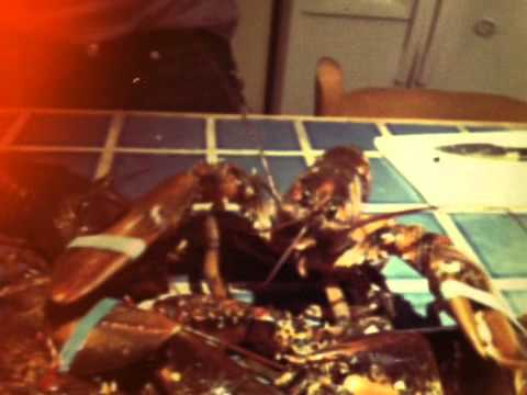 martha's vineyard 'da lobsters'