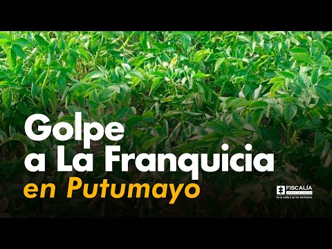 Fiscal Francisco Barbosa: Golpe a La Franquicia en Putumayo