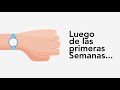 Imagen en miniatura