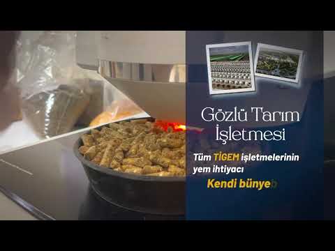 TİGEM Gözlü Tarım İşletmesi #AKizler