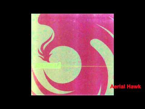 Ace Combat 2 OST - Aerial Hawk