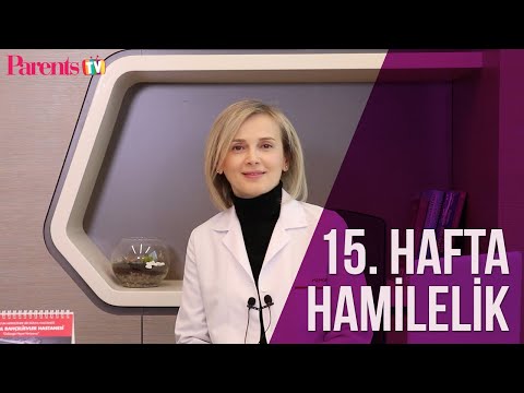Parents TV - 15. Hafta Hamilelik