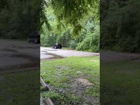 This is a 180(ish) view of the primitive sites (there are 5).