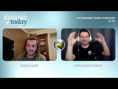 THE BIRDING TODAY PODCAST S3 E9 | Being A New Birder: What's It Like? | JACK LANGE