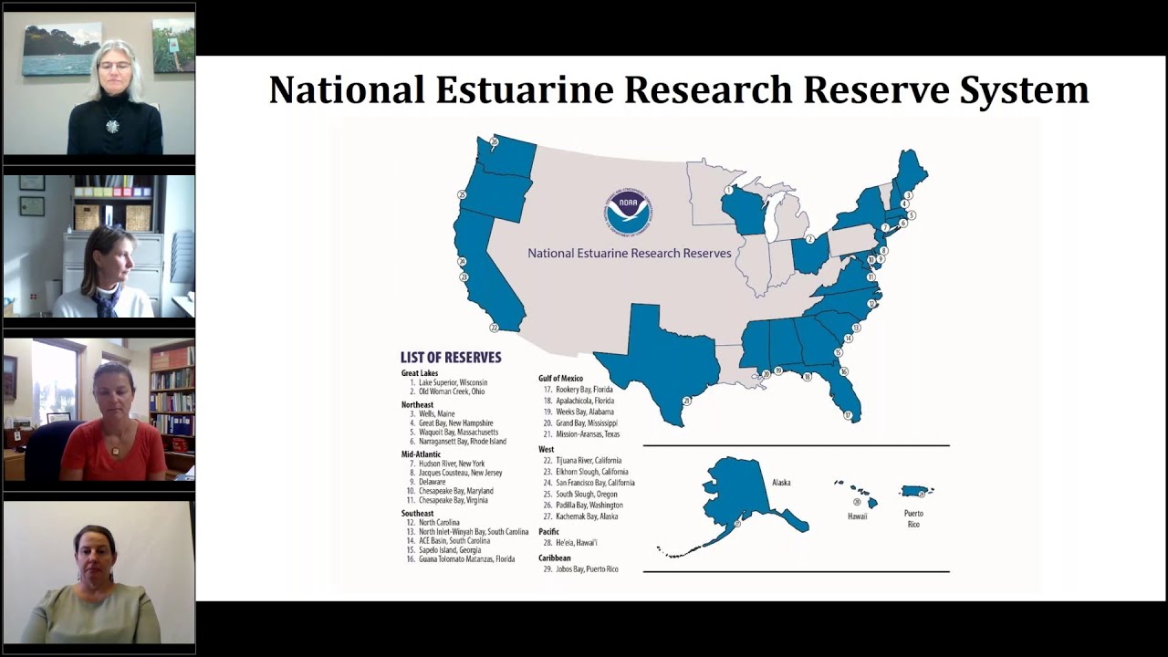 Conceptualizing and Designing Collaborative Science Projects
