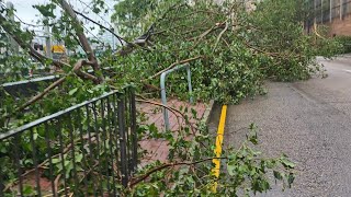Super Typhoon Ragasa aftermath超強颱風樺加沙實況