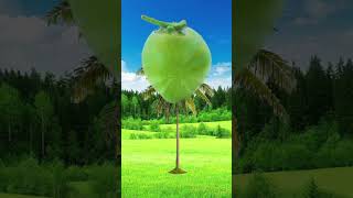 Download lagu Monkeyπ#on #animallover #drinking#drink #coffee #animallover #petlover #viralvideo #trending #short mp3 Download lagu Monkeyπ#on #animallover #drinking#drink #coffee #animallover #petlover #viralvideo #trending #short mp3