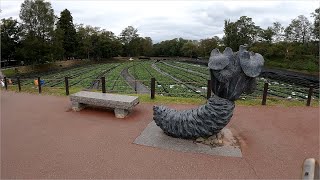 おかんと二人旅　Part133　大王わさび農場