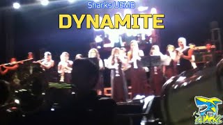 preview picture of video 'Sharks UEMB: Dynamite'