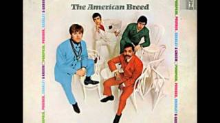American Breed - Anyway That You Want Me