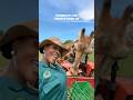 ZOO KEEPER FOR A DAY #zookeeper #zookeeperlife