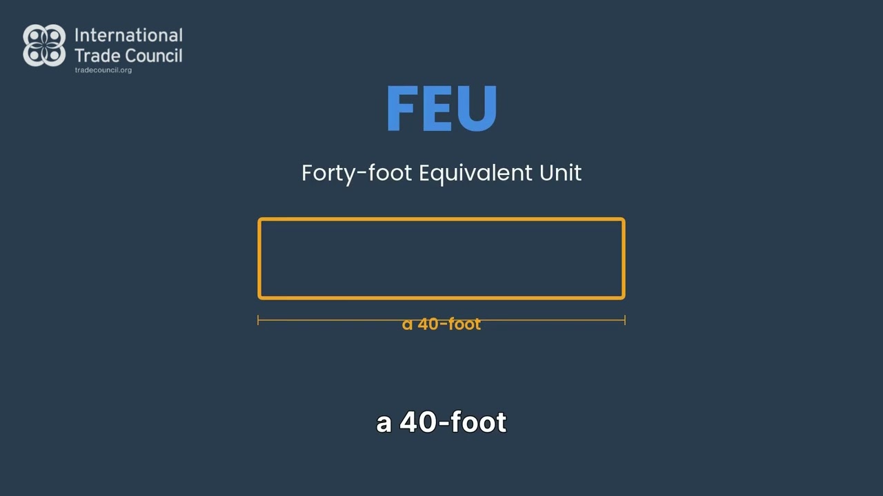 Container Sizes Explained | Dimensions, Capacity & Tips