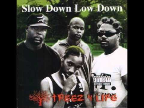 Treez 4 Life- Hangin