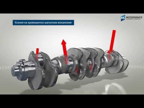 Строение и функция коленчатого вала (3D анимация) - Motorservice Group