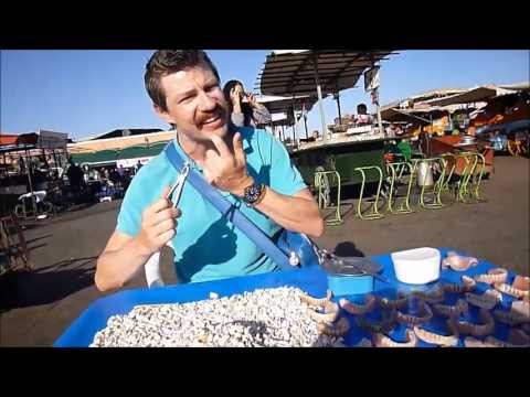 Bizarre Street Food in Morocco - Marrakech & Essaouira