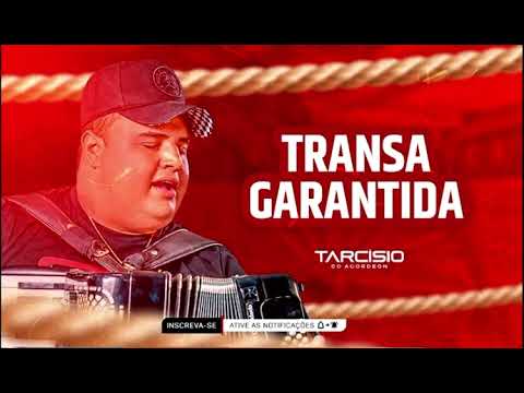 EU TÔ GOSTANDO TANTO DE VOCÊ | TRANSA GARANTIDA - TARCÍSIO DO ACORDEON 2022