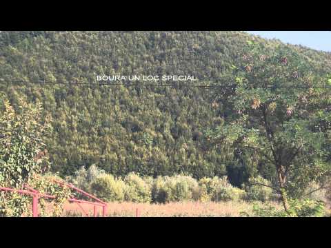 boura forasti suceava