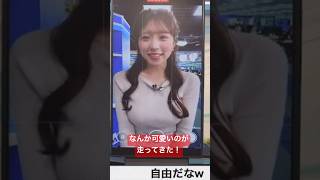 - カメラに走ってくるお天気お姉さんが可愛い#小林李衣奈