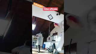 Madh "VERTIGO" - CarolitaDancer