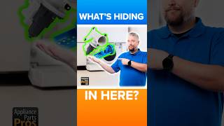Find and Clean Your Washer’s Hidden Lint Trap and Drain Filter