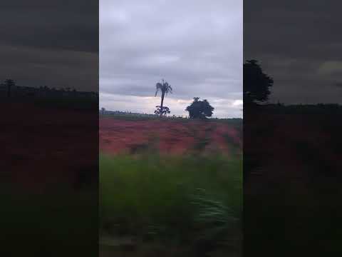 Pelas estradas de São Luís de Montes Belos-GO