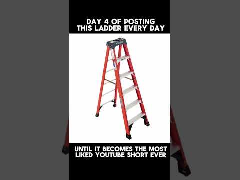 Day 4 of Posting this Ladder Until it Becomes the Most Liked Short Ever #laddergang