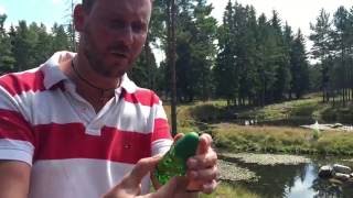 Pino Silvestre Original (1955) fragrance review