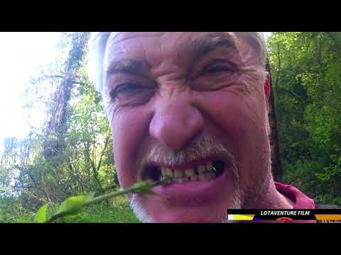 Spéléo Lot 46 "La grotte aux respounchous"Cajarc