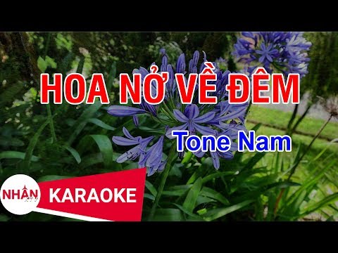Hoa Nở Về Đêm (Karaoke Beat) - Tone Nam