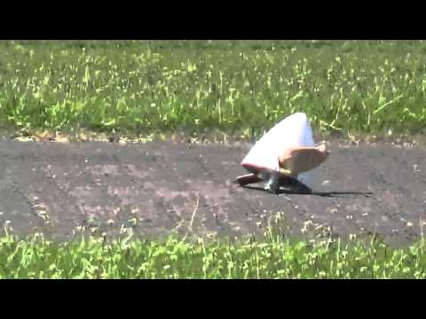 Hamm Flugplatz 2 8 2015