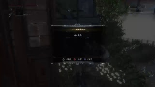 bloodboneまったり実況