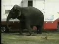 Anti Circus TV Commercial