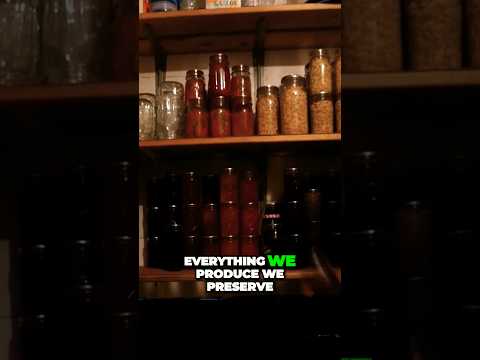Sustainable Homestead Food Preservation Techniques