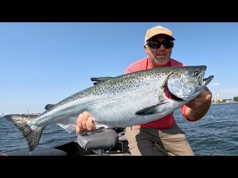 Jigging King Salmon Up Shallow