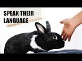 10 Ways to Tell Your Bunny You Love Them!