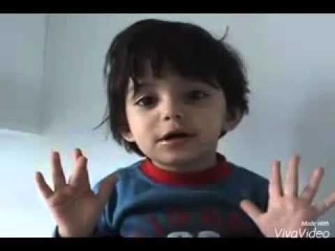 cute Persian girl ice cream bastani