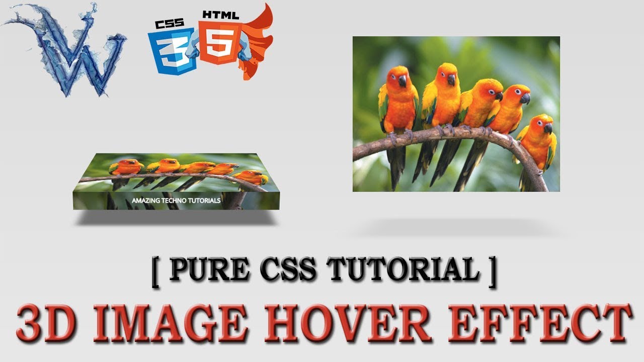 3d image hover effects css | cool css effects 2018 | Pure css tutorial