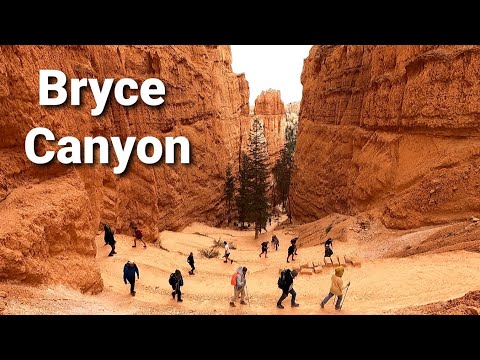 Virtual Hike of Bryce Canyon National Park | Queen Elizabeth to Thor's Hammer | Utah 🇺🇸