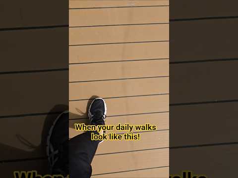 Thumbnail for Daily walks on the promenade living full time on the Villa Vie Odyssey cruise ship. #cruise